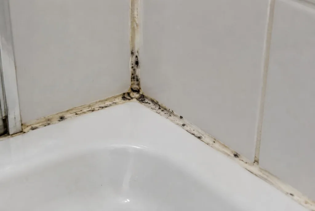 Kitbedrijf Arnhem – beschimmelde kitranden